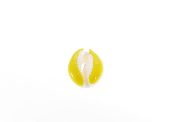 סנטר קונכייה צהוב 45