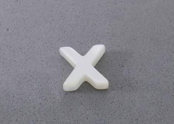 תליון X צדף